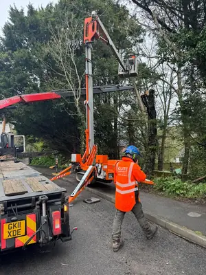 J Ward Plant & Grab Hire Tenterden Kent 2 57